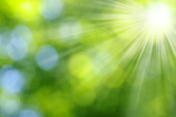 Green blurred background