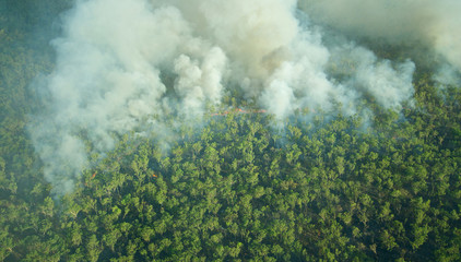 Aerial view of a controlled bushfire in Kakadu © juanmoro