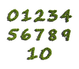 numbers create by tree white background