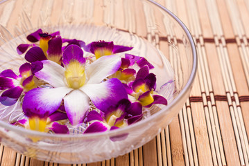 Orchid flower floating in water in a glass bowl