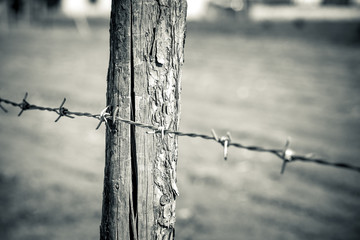 barbwire