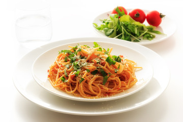 spaghetti tomatosauce with chicken  ragu