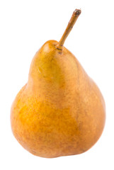 Bosc pear fruit over white background