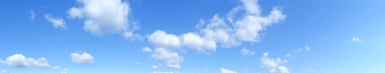 Poster Panoramisch van een lucht met wolken © oraziopuccio