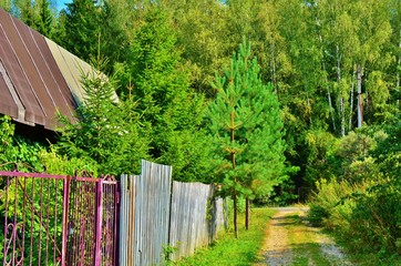 Country and Forest