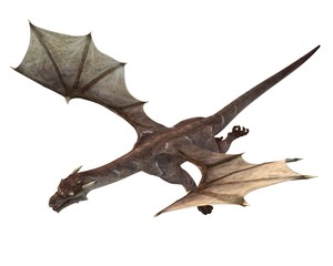 Soaring Dragon