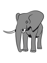 Strong African elephant