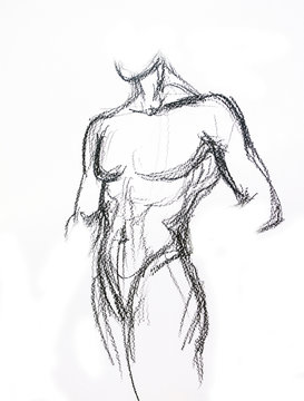 Man torso Sketch