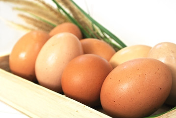 Eggs in wooden box and grass on white background