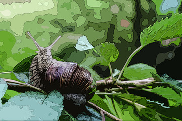 Schnecke erforscht die Welt