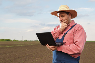 Agriculture worker working in the field