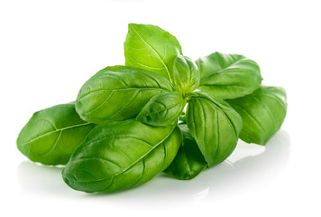Fresh green leaf basil. Isolated on white background