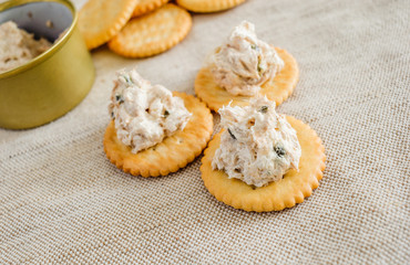 Cracker with tuna spread