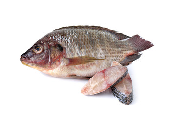 whole round fresh Tilapia fish on white background