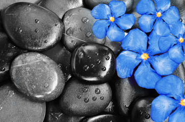 Flowers and stones