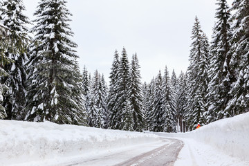 Snowy winter road