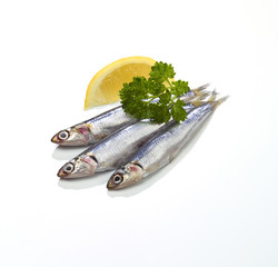 Anchovies