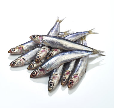 Sardinen