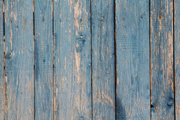 Old wood texture