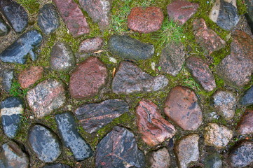 Old mossy stone pavement