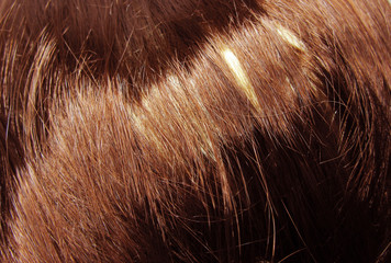 highlight hair texture background