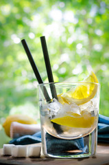 Ice Cold Summer Spirit Refreshment  with Lemon