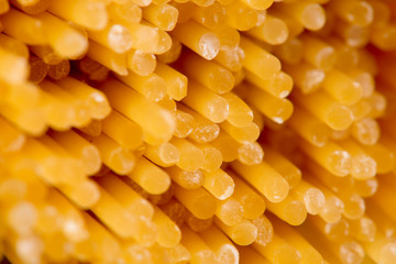 Closeup of spaghetti