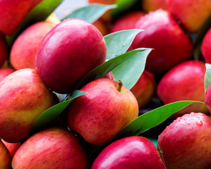 Pile of red apple and green foliage  and water droplet