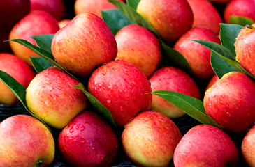 Pile of red apple and green foliage  and water droplet