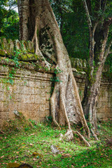 Preah Khan temple, Angkor area, Siem Reap, Cambodia