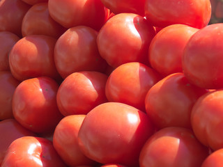 tomatoes