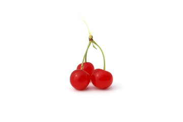Cerises