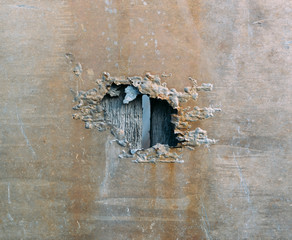 aluminum rotted on the tree