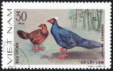 VIETNAM - CIRCA 1978 