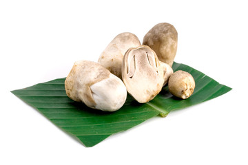 Straw Mushroom