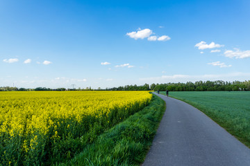 Muldetal Radweg Zwickau