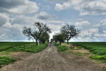 trasa rowerowa © Henryk Olszewski