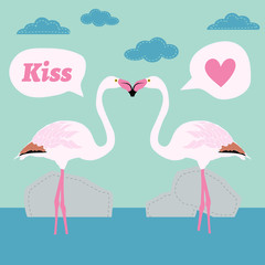 pair of flamingo bird cartoon vector card
