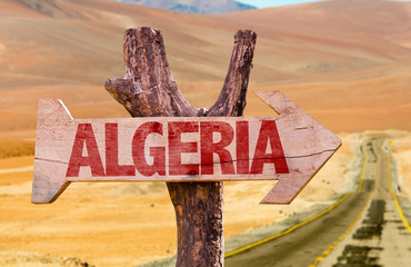 Algeria wooden sign with desert road background