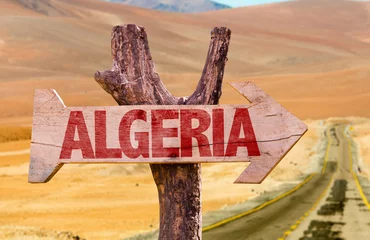 Fotobehang Algeria wooden sign with desert road background © gustavofrazao