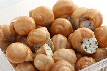 Fototapeta premium Escargots