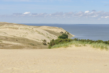 Dead dunes in Curonian Spit, Lithuania, Europe