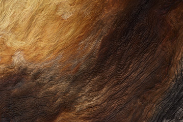 Traces of fire on a old wood
 (close-up foto)
