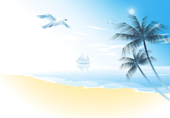 Fototapeta na wymiar Summer beach with palm trees 