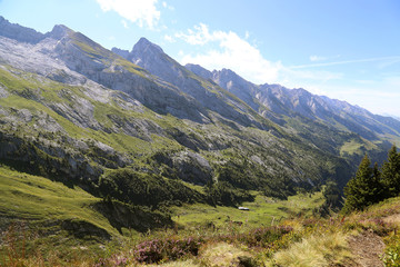 Naklejka premium Montagne