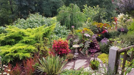 Lush Colorful Summer Garden on North Carolina Hillside