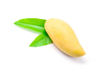 Yellow mango
