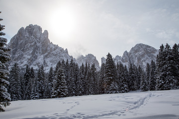 Fototapeta na wymiar Winter landscape with small paths