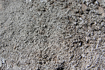 stone closeup