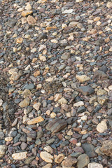 Beach Pebbles